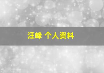 汪峰 个人资料